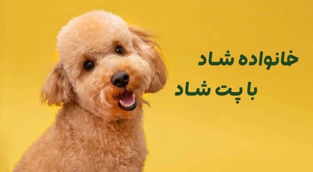 slide-image-undefined